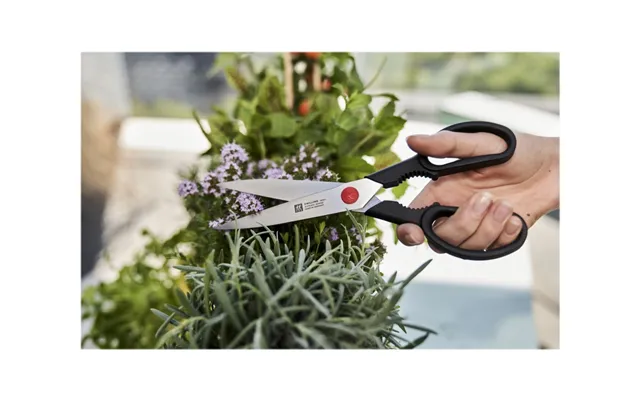 Zwilling Twin L Multisaks 23 Cm - Rustfrit Stål