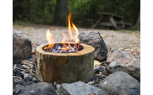 Eco Grill Engangsgrill