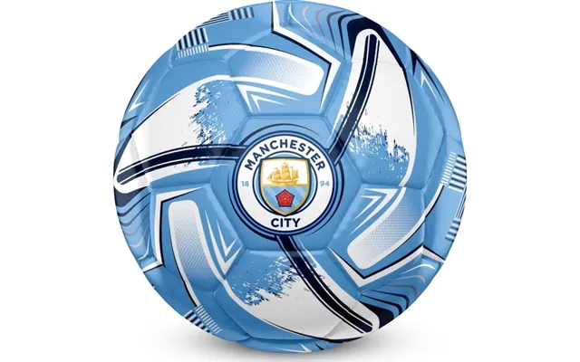 Fodbold Manchester City Fc