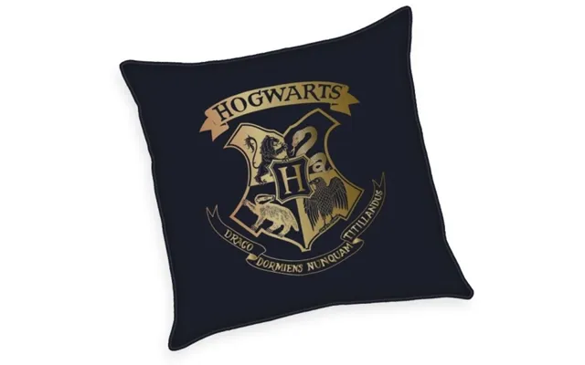 Harry Potter Pude Med Guld Print