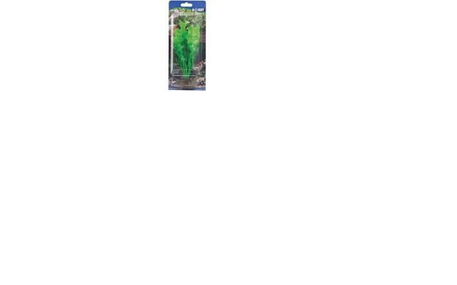 Hobby Dekorationsplante Echinodrus 20cm 20cm