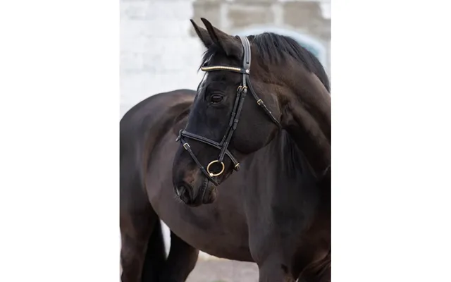 Jacson California Aachentrense Sort Cob