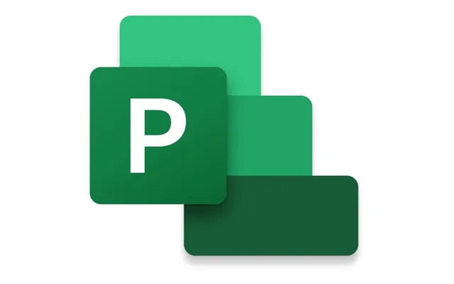 Microsoft Project Professional 2021 - Licens
