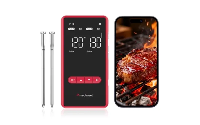 Retoo Digitalt Stegetermometer Meatmeet X Pro Med Bluetooth Wifi Til Grill Ovn Røgeri - Sort