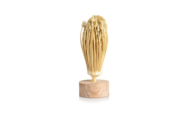 Rivsalt Toothpick