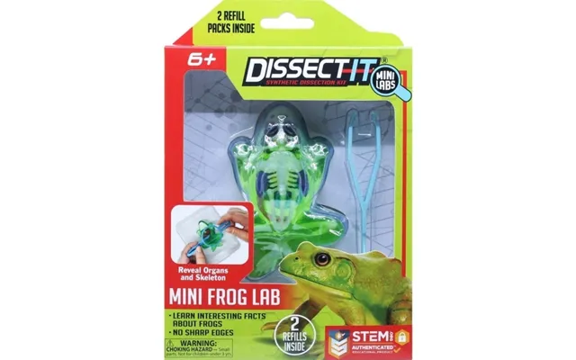 Sensory Compounds Frog In Giftbox