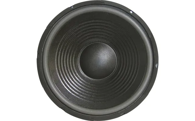 Sintron 203377 30 Cm Pa-subwoofer 300 W 8