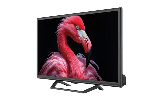 Strong 24 Hd Google Tv M 12v Adapter - God Til Camping