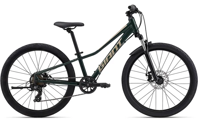 Giant Talon 24 Disc 2024 - Grøn