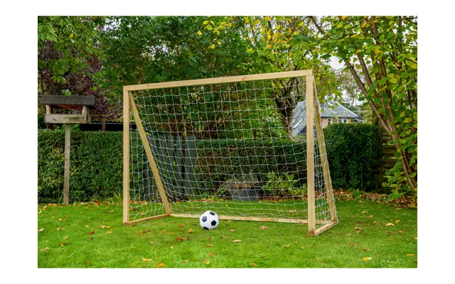 Homegoal - Classic Senior Natur