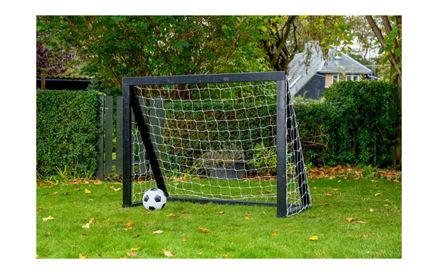 Homegoal - Pro Mini Sort