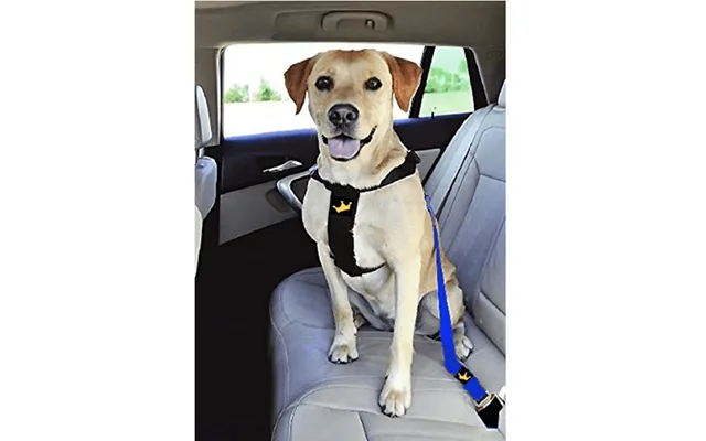 Animals & Car Hundesele
