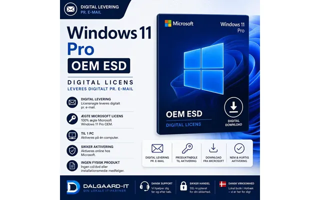 Microsoft Windows 11 Pro Oem Esd Digital Licens