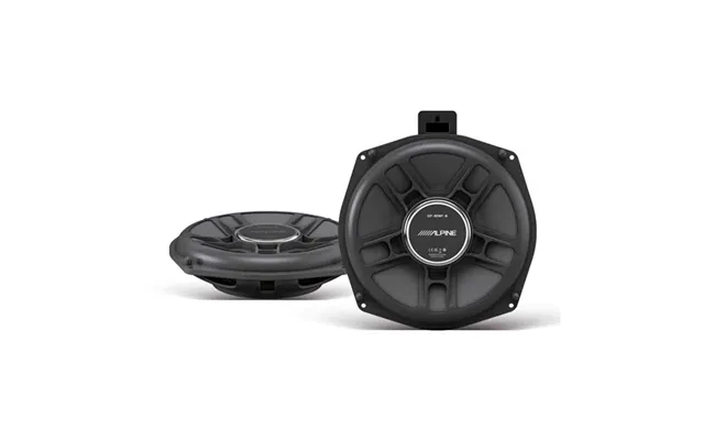 Alpine Dp280wfb 8 Subwoofer Til Bmw