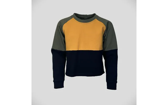 Sweatshirt Til Kørestol Str. 140 Med Raglanærme Barn Daro.dk