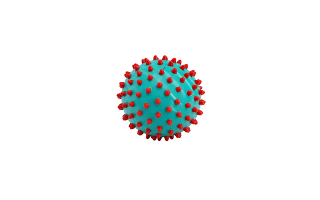 Edushape Senso-dot Balls 10 Cm - 1 Stk