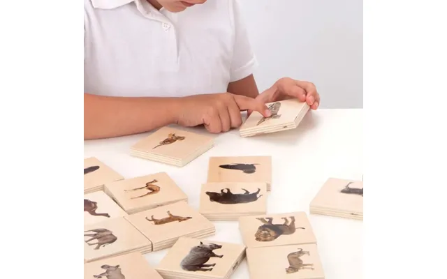 Match Dyrene - Wild Animals