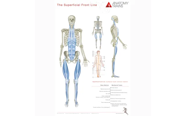 Anatomy Trains Plakater
