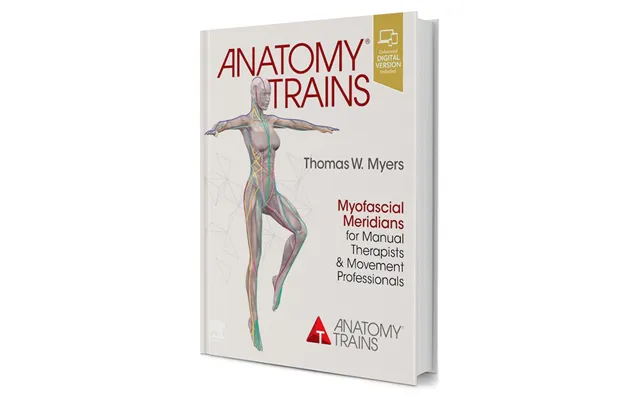 Anatomy Trains