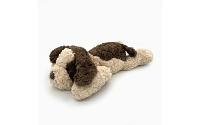 Hunden Hugo Din Tyngdeven