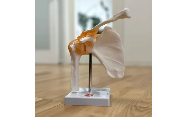 Skulderled Fuld Størrelse