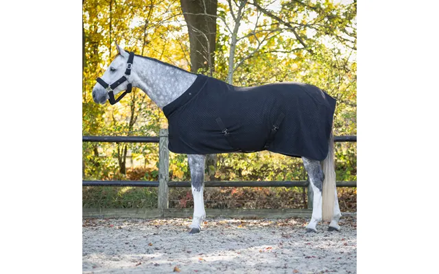Qhp Zahra Showrug - 135