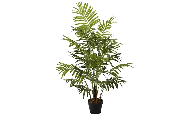 Areca Palme 120 Cm Med 9 Palmeblade