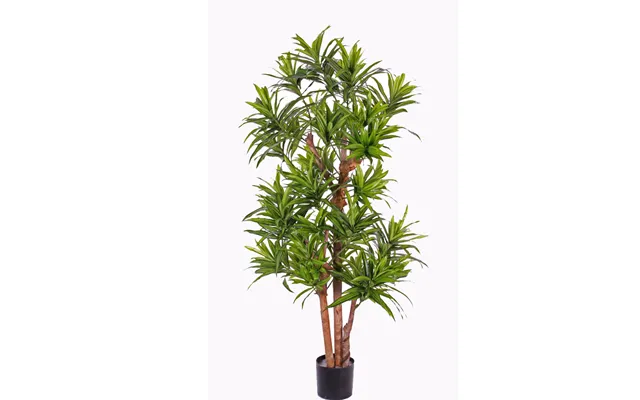 Dracena Palme 120 Cm Med 846 Blade