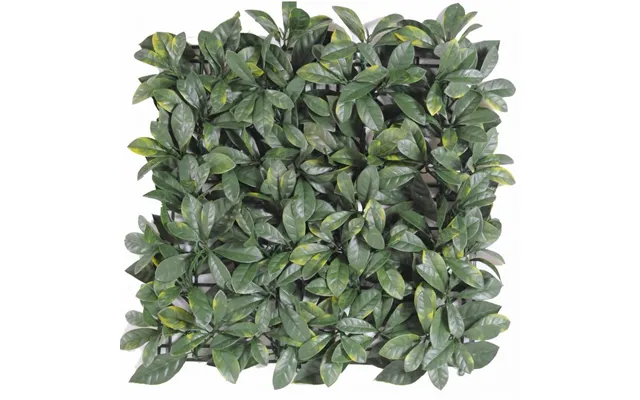 Kunstig Plantevæg 50 X 50 Cm Dogwood