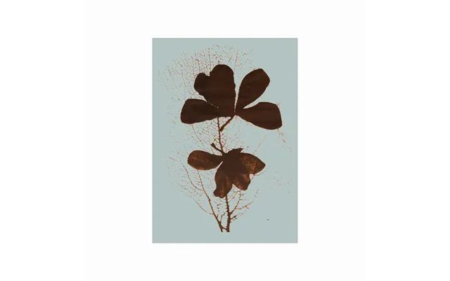 Imprint 01