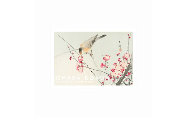 Ohara Koson Plakat Songbird On Blossom Branch