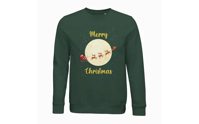 Santas Sleigh Ride Jule Sweatshirt Unisex