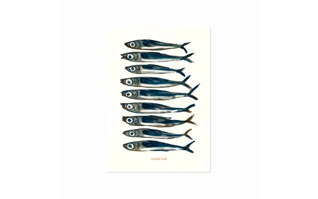 Sardin Plakat Sardine