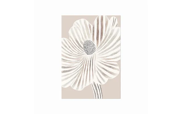 Striped Flower