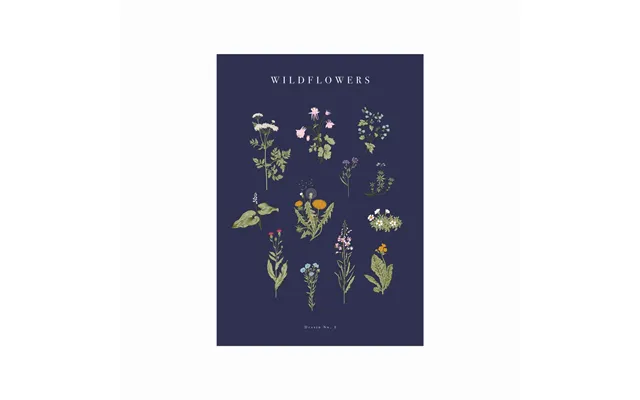 Wildflowers