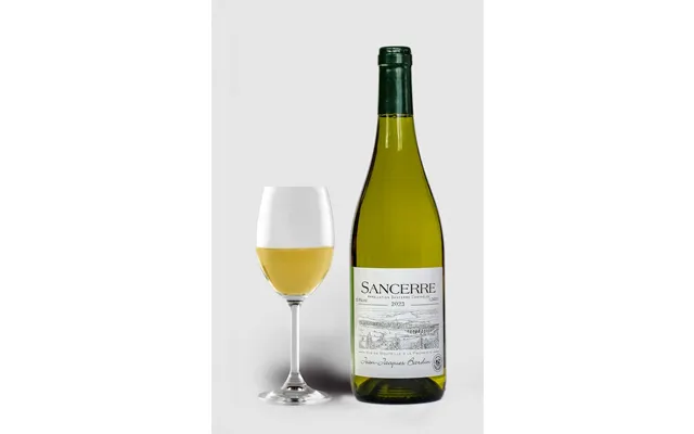 Domaine Les Chaumes Jean Jacques Bardin Sancerre 2023