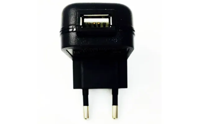 Dreamlove European Usb Charger