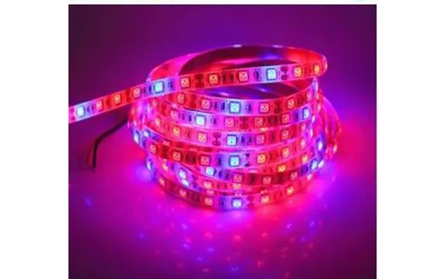 5 Meter, 12 Volt, 60 Watt, Ip20 Led Gro Lys Bånd - Dinled