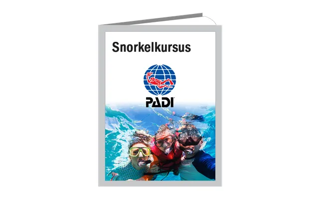 Padi Snorkelkursus I Pool