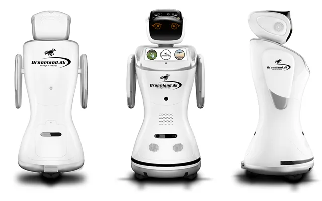 Sanbot Reklame Og Event Robot