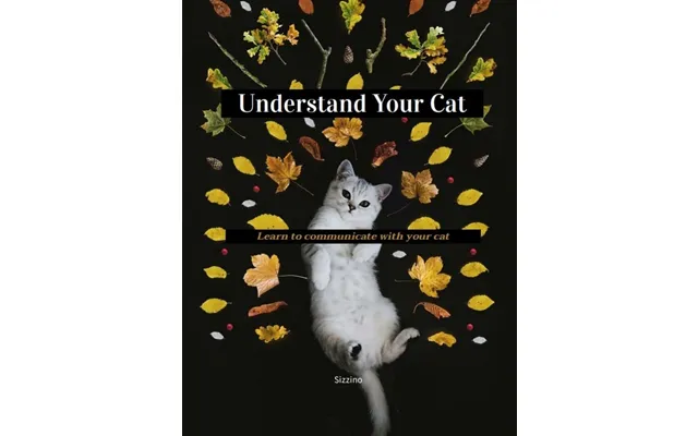 Understand Your Cat - Learn To Communicate With Your Cat