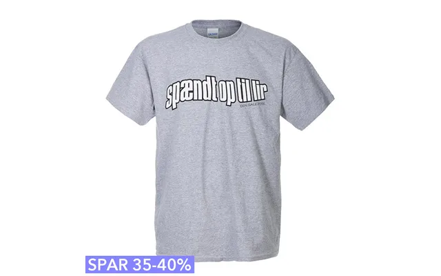 Den Gale Pose - Grå T-shirt