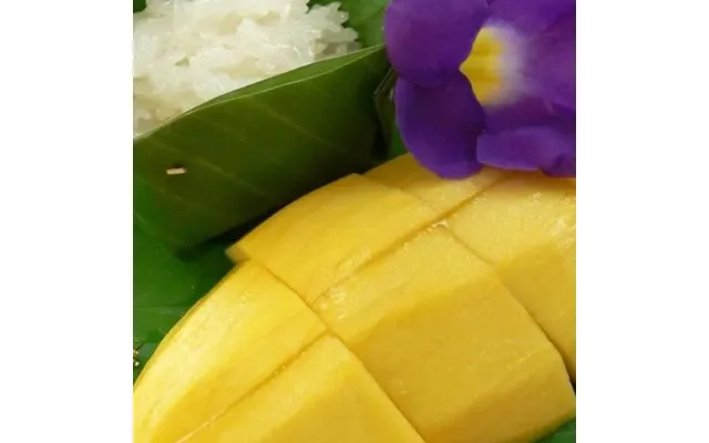 Coco Jambo Mambo Mango - Tester 10-15 Timers Duft