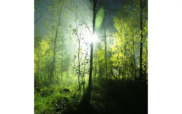 Enchanted Forest - Plade 60-100 Timers Duft