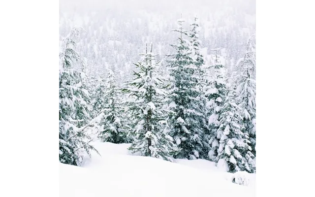 Sleighride In The Snow - Plade 60-100 Timers Duft