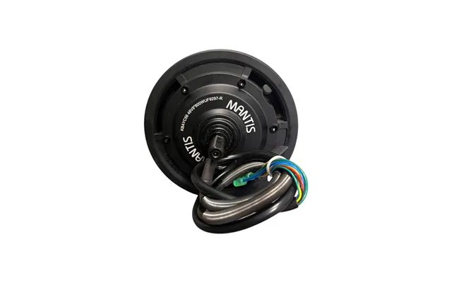 Motor Bag - Kaabo Mantis 8
