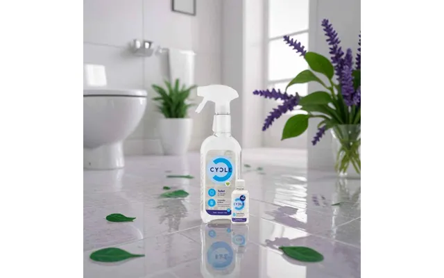 Cycle Toilet Skumrens 500 Ml
