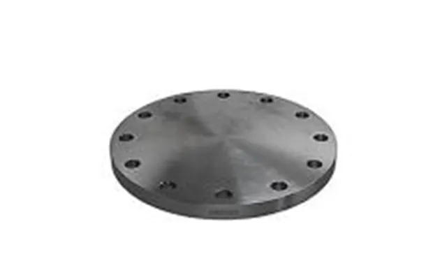 Blindflange 219,1mm. 12 Bolthuller. Pn16. Din2527 En1092-1 Kv