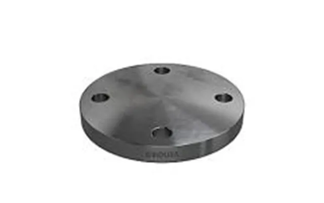 Blindflange 60,3mm. 4 Bolthuller. Pn16. Din2527 En1092-1 Kv. S235jrg2 P250gh I Vort Valg
