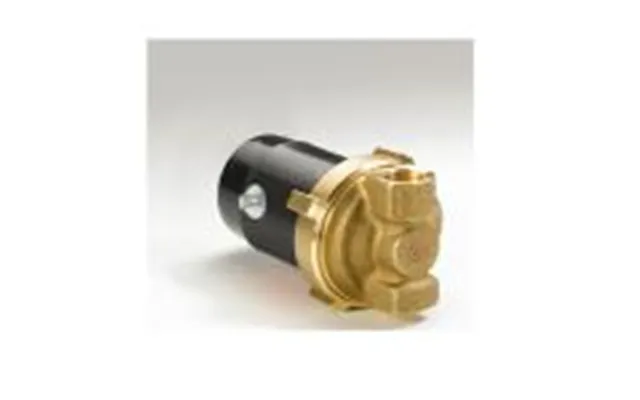 Pumpe Ecowatt 1*230v